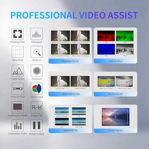 Professional Video Assist Features Guide