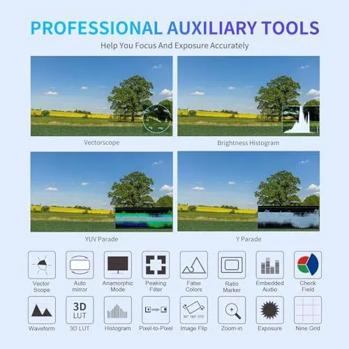 Professional Video Monitoring Auxiliary Tools
