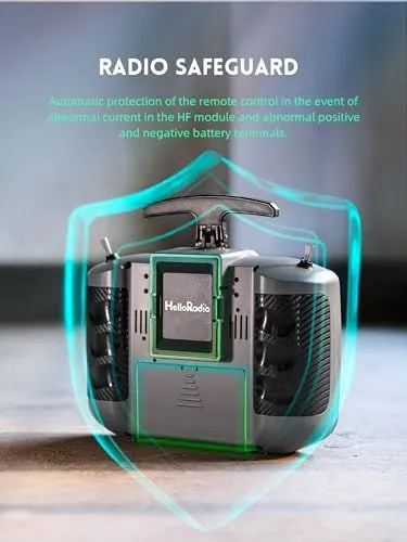Radio Safeguard Feature