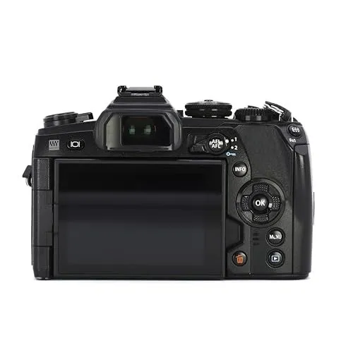 Rear View of Olympus OM-D Mirrorless Camera