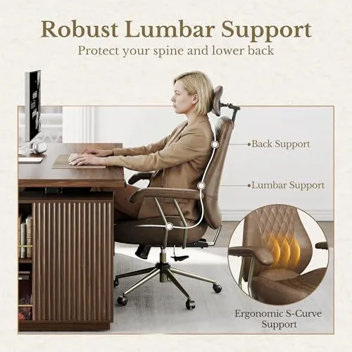 Robust Ergonomic Lumbar Support