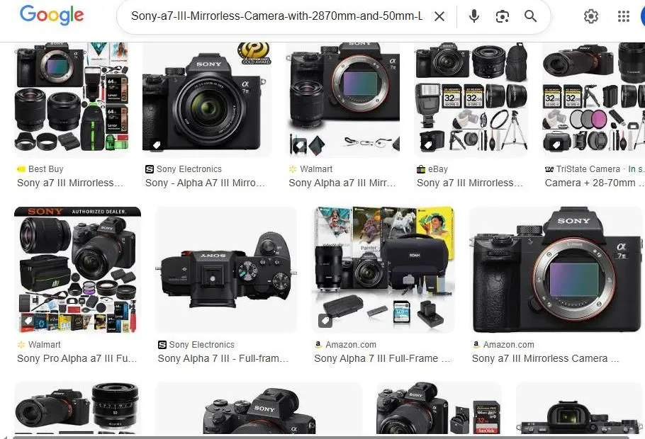 Sony Alpha a7 III Camera Search Results