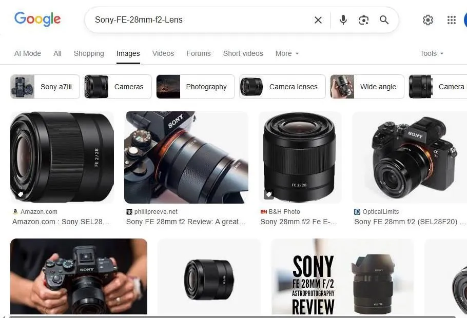 Sony FE 28mm f/2 Lens Google Image Search Results