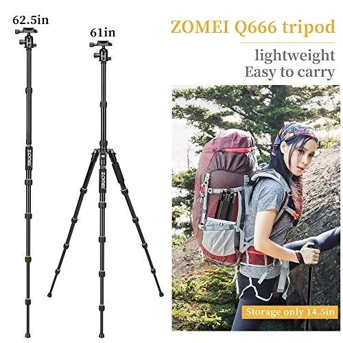 Zomei Q666 Tripod Features and Dimensions